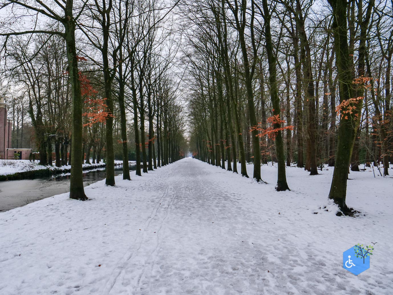 Baarn_Groeneveld_08-01-2025-06