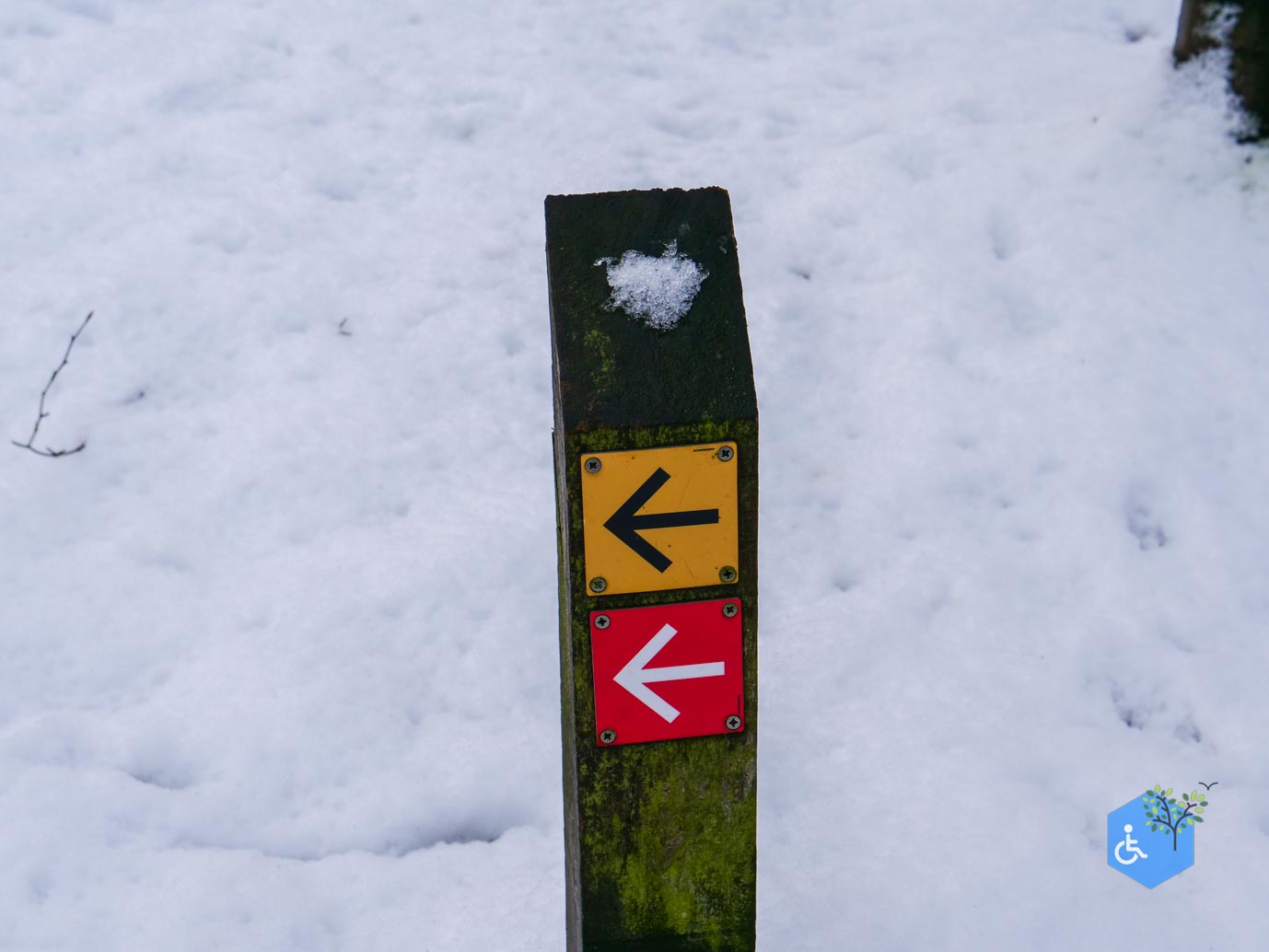 Baarn_Groeneveld_08-01-2025-11