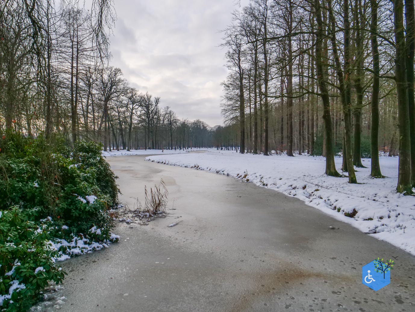 Baarn_Groeneveld_08-01-2025-18