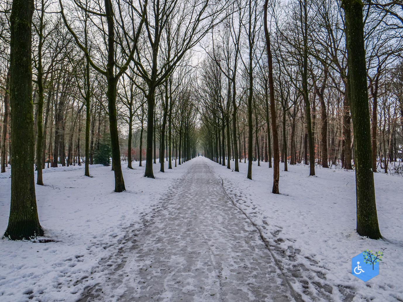 Baarn_Groeneveld_08-01-2025-26