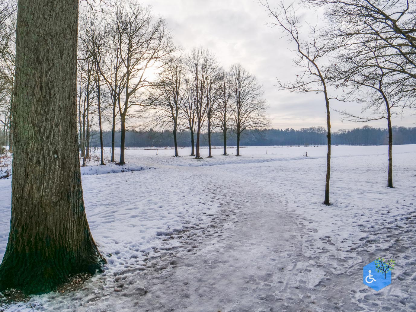 Baarn_Groeneveld_08-01-2025-28