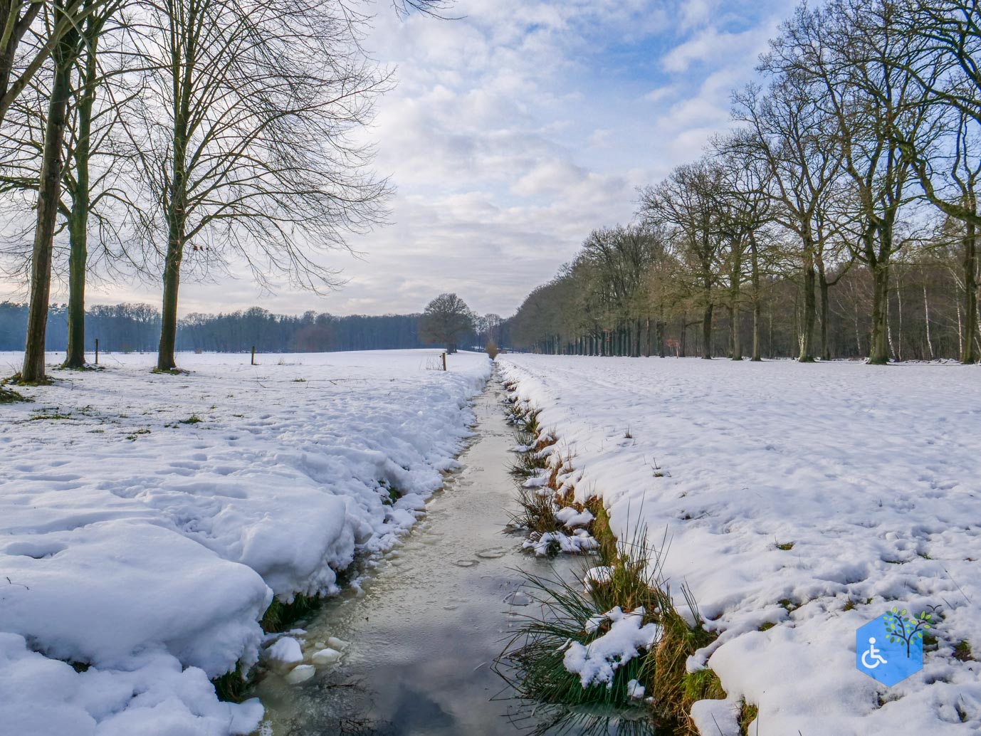 Baarn_Groeneveld_08-01-2025-29