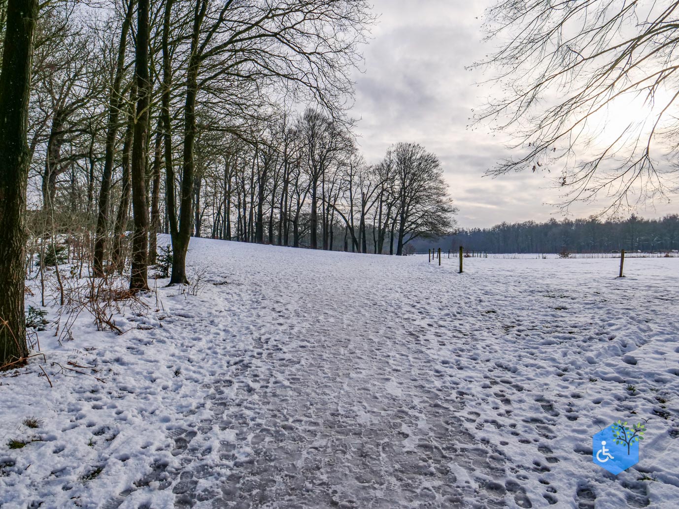 Baarn_Groeneveld_08-01-2025-30