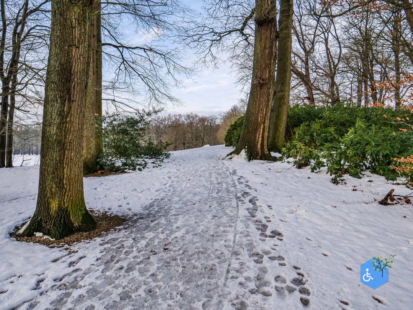 Baarn_Groeneveld_08-01-2025-33