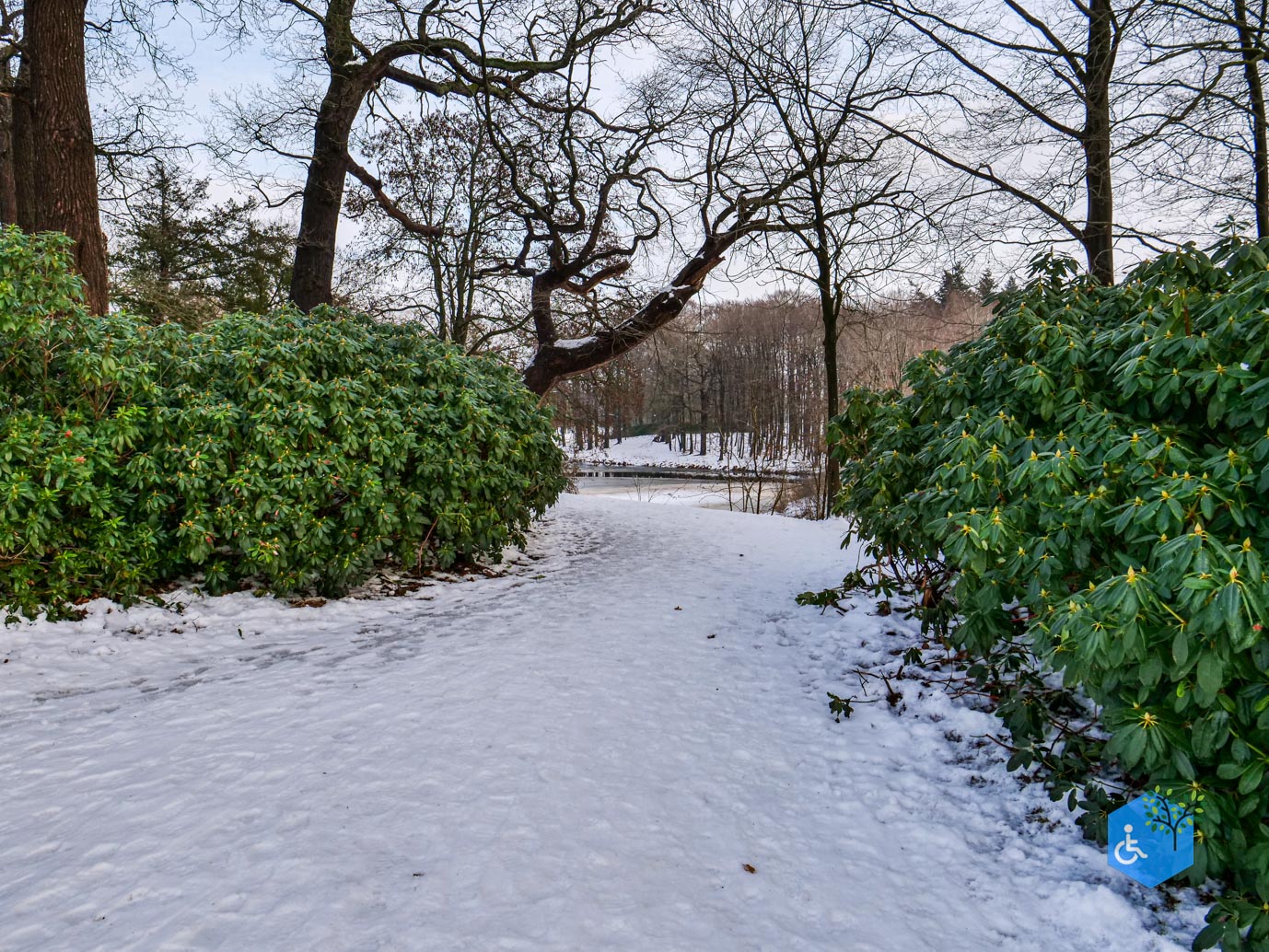 Baarn_Groeneveld_08-01-2025-35