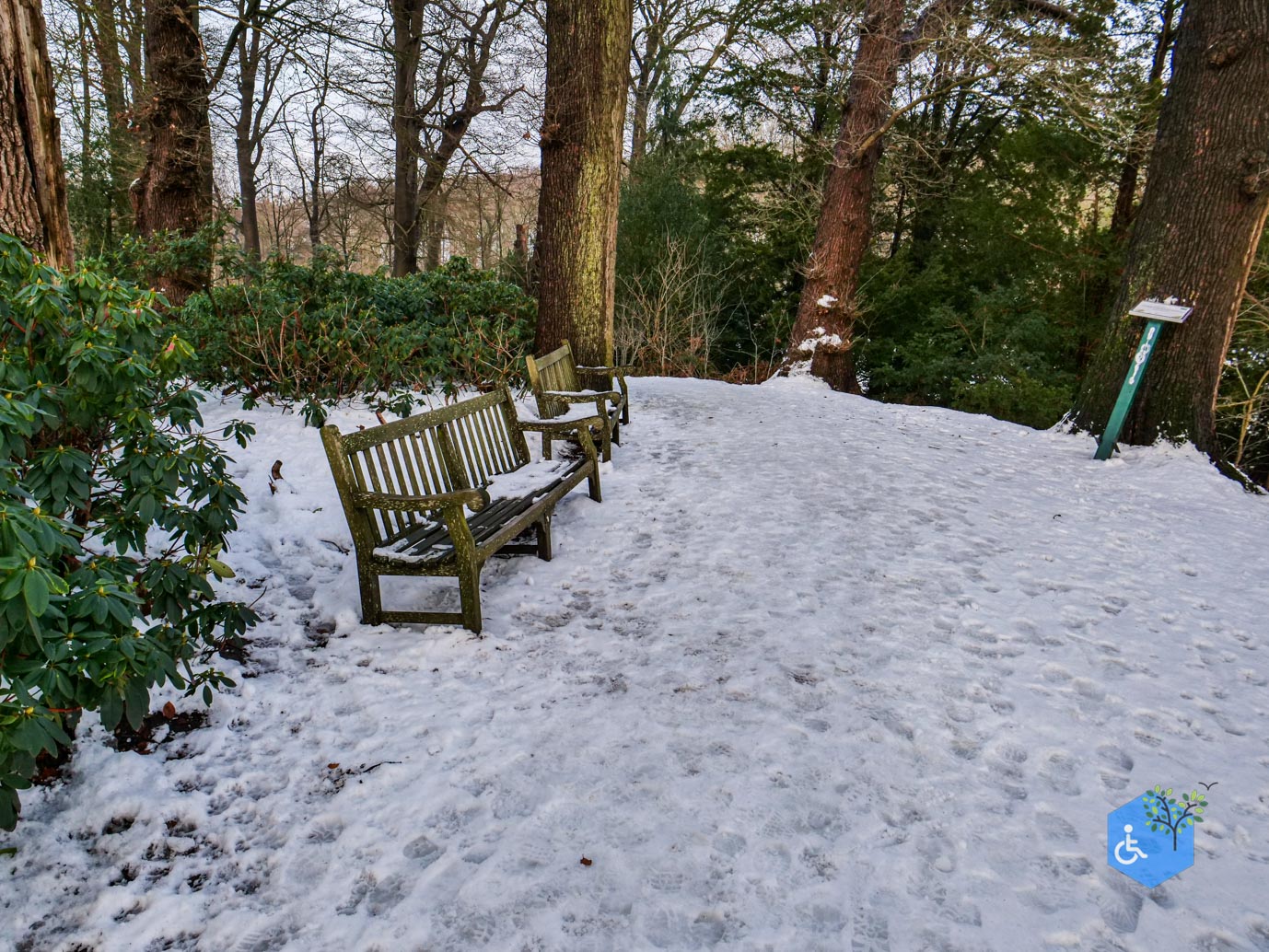 Baarn_Groeneveld_08-01-2025-36