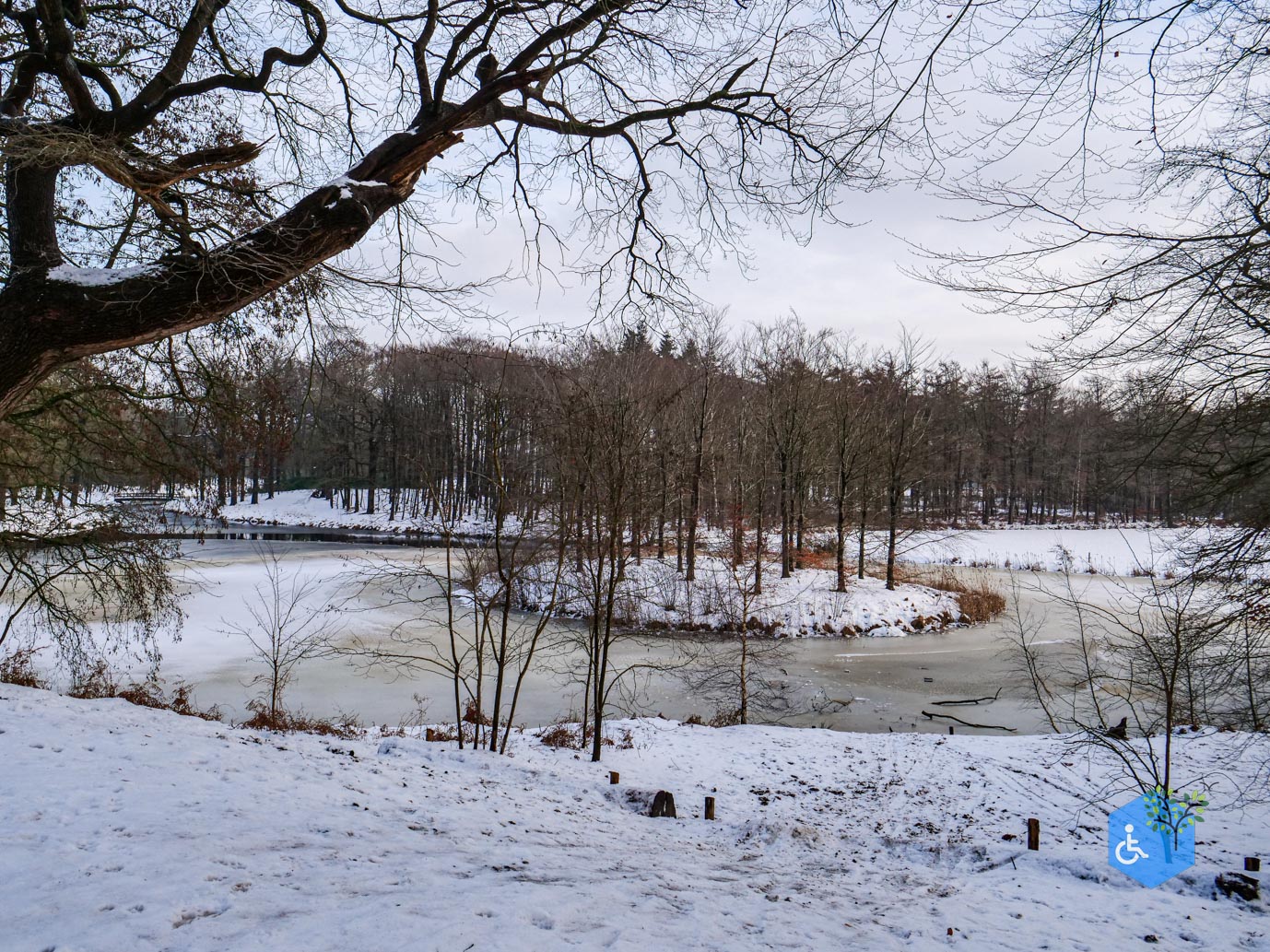 Baarn_Groeneveld_08-01-2025-38