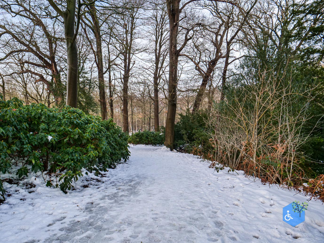 Baarn_Groeneveld_08-01-2025-39