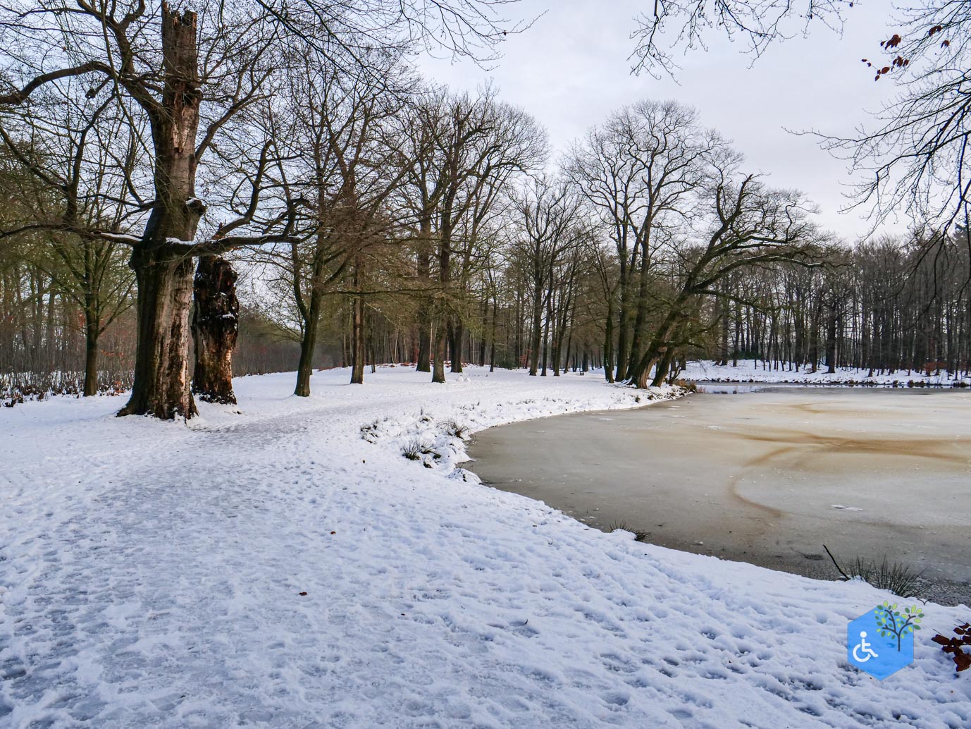 Baarn_Groeneveld_08-01-2025-40
