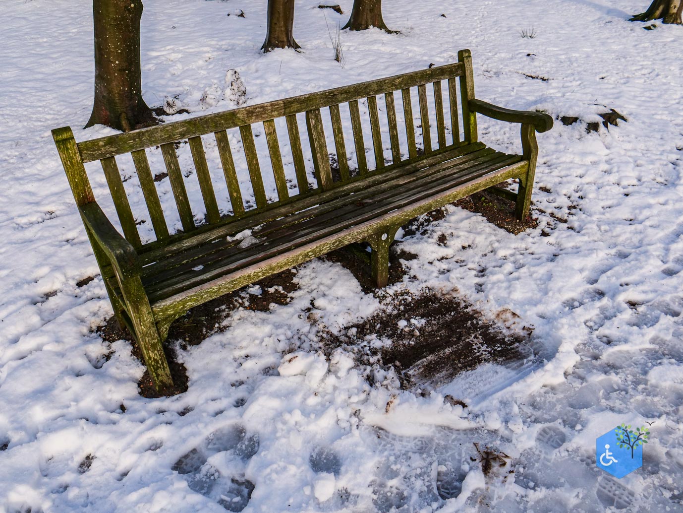 Baarn_Groeneveld_08-01-2025-43