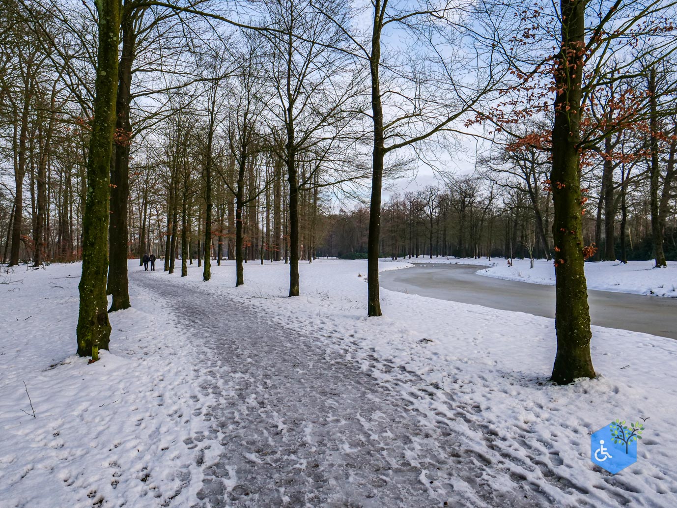 Baarn_Groeneveld_08-01-2025-46