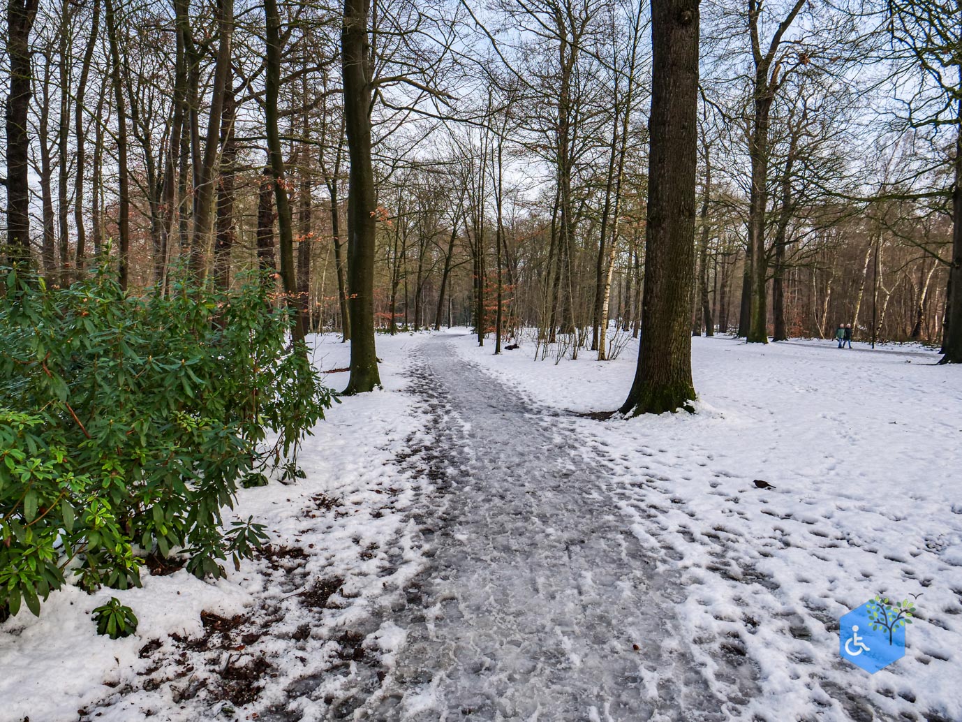 Baarn_Groeneveld_08-01-2025-51