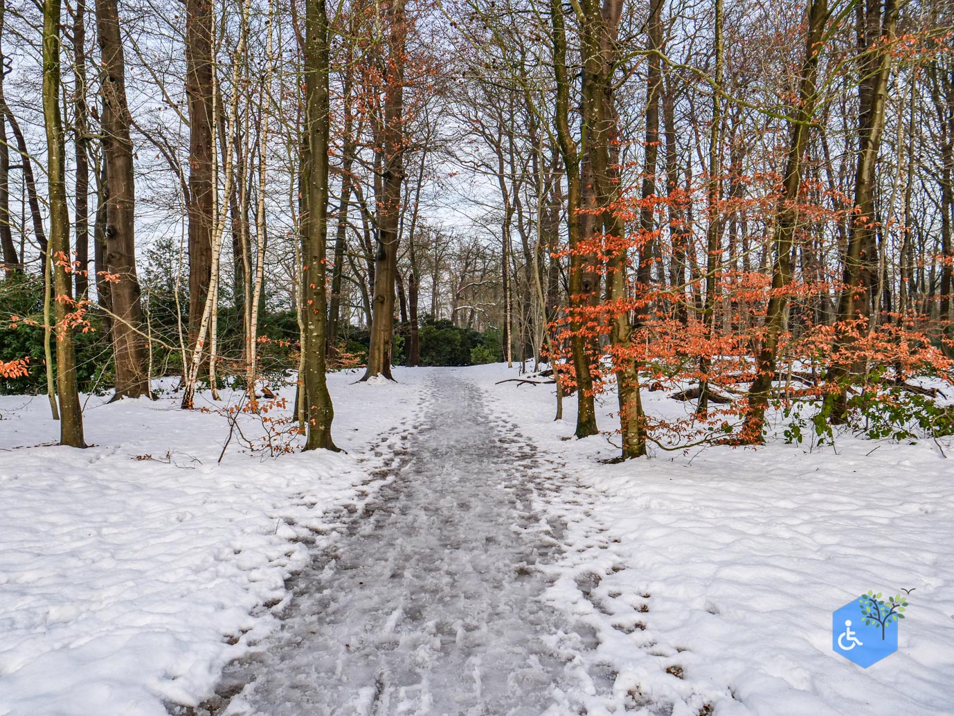 Baarn_Groeneveld_08-01-2025-53