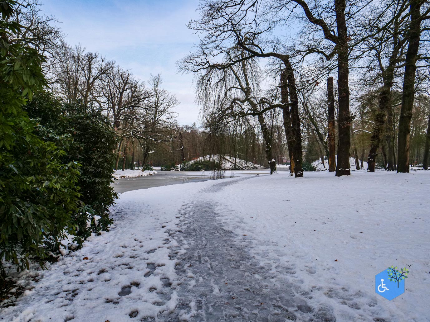 Baarn_Groeneveld_08-01-2025-54
