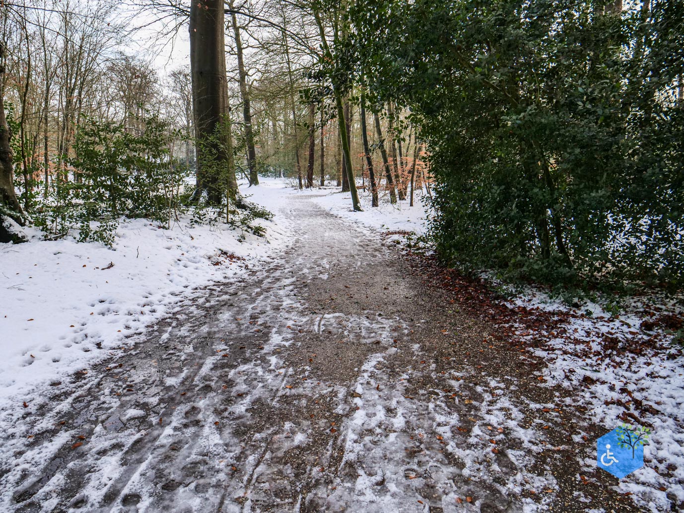 Baarn_Groeneveld_08-01-2025-57