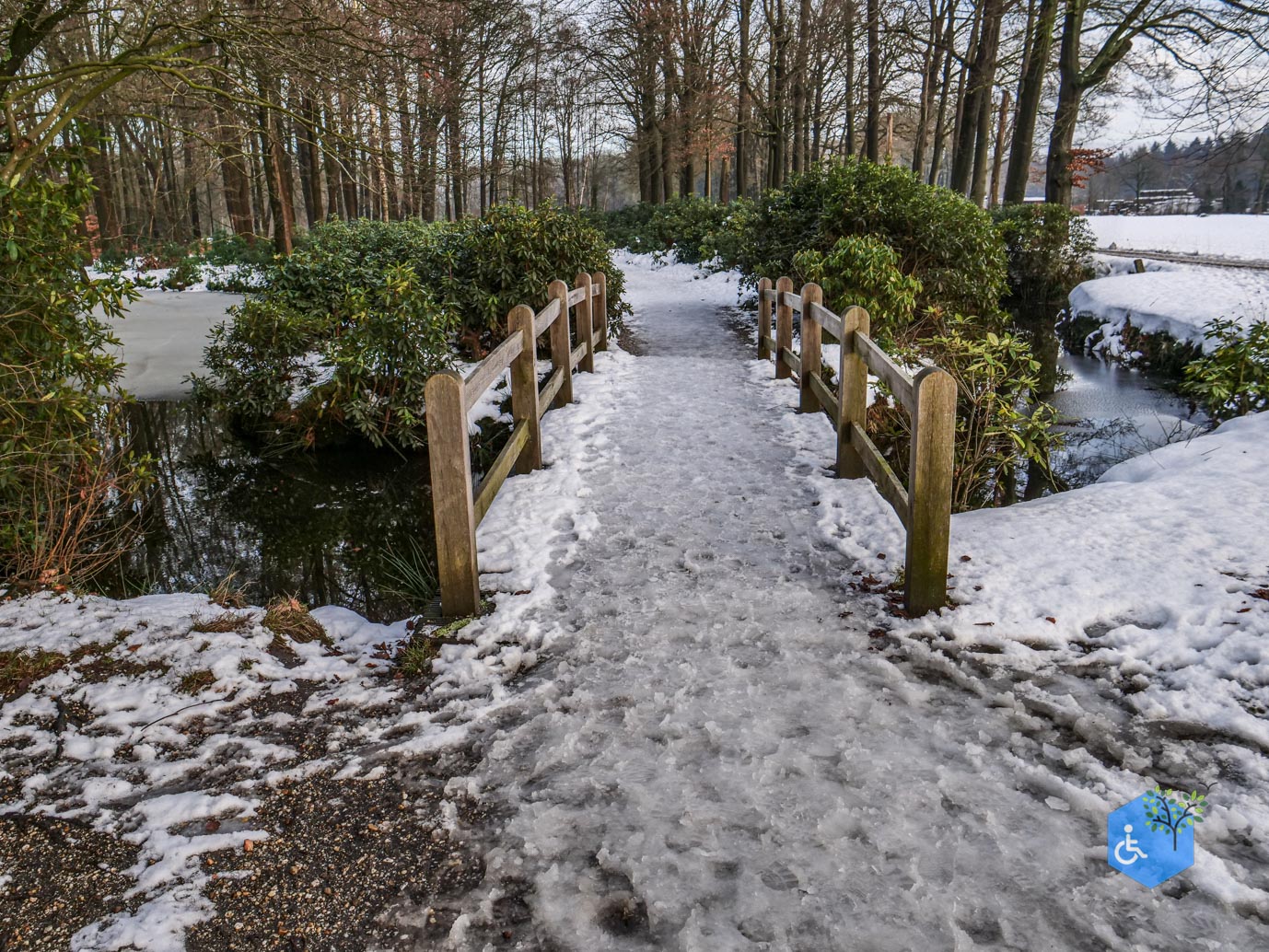 Baarn_Groeneveld_08-01-2025-62
