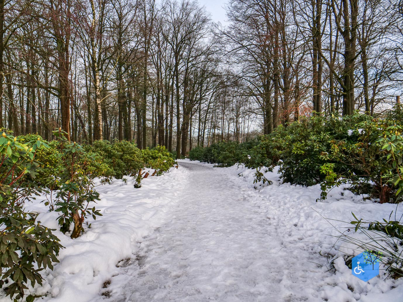 Baarn_Groeneveld_08-01-2025-63