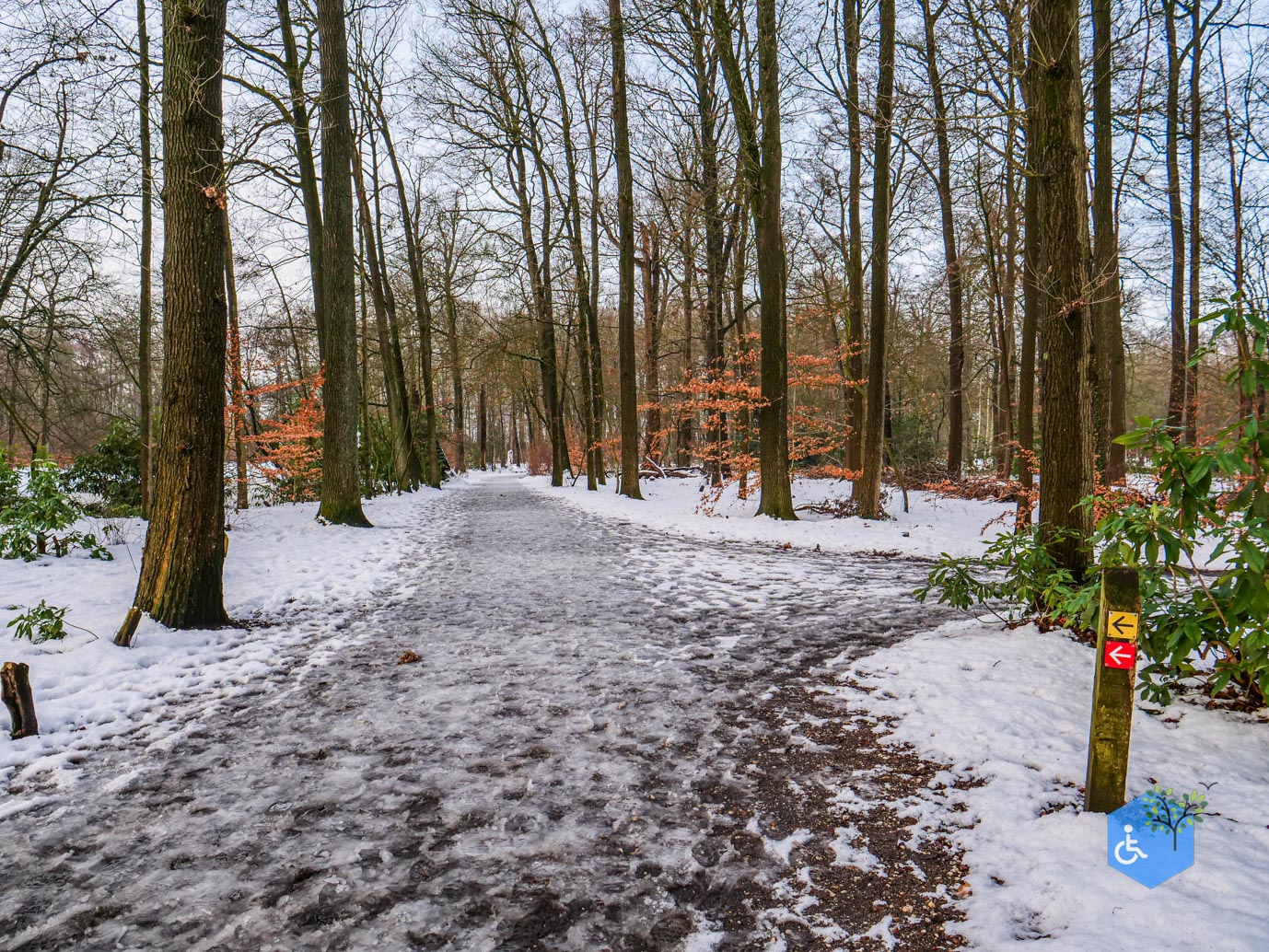 Baarn_Groeneveld_08-01-2025-64
