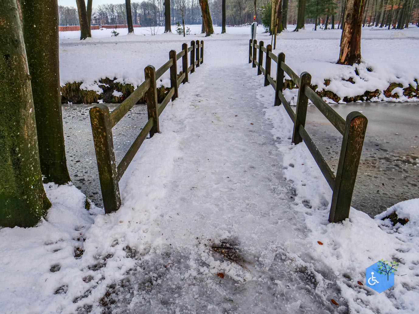 Baarn_Groeneveld_08-01-2025-76