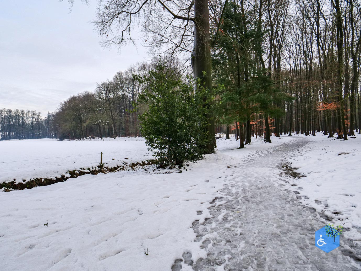 Baarn_Groeneveld_08-01-2025-84