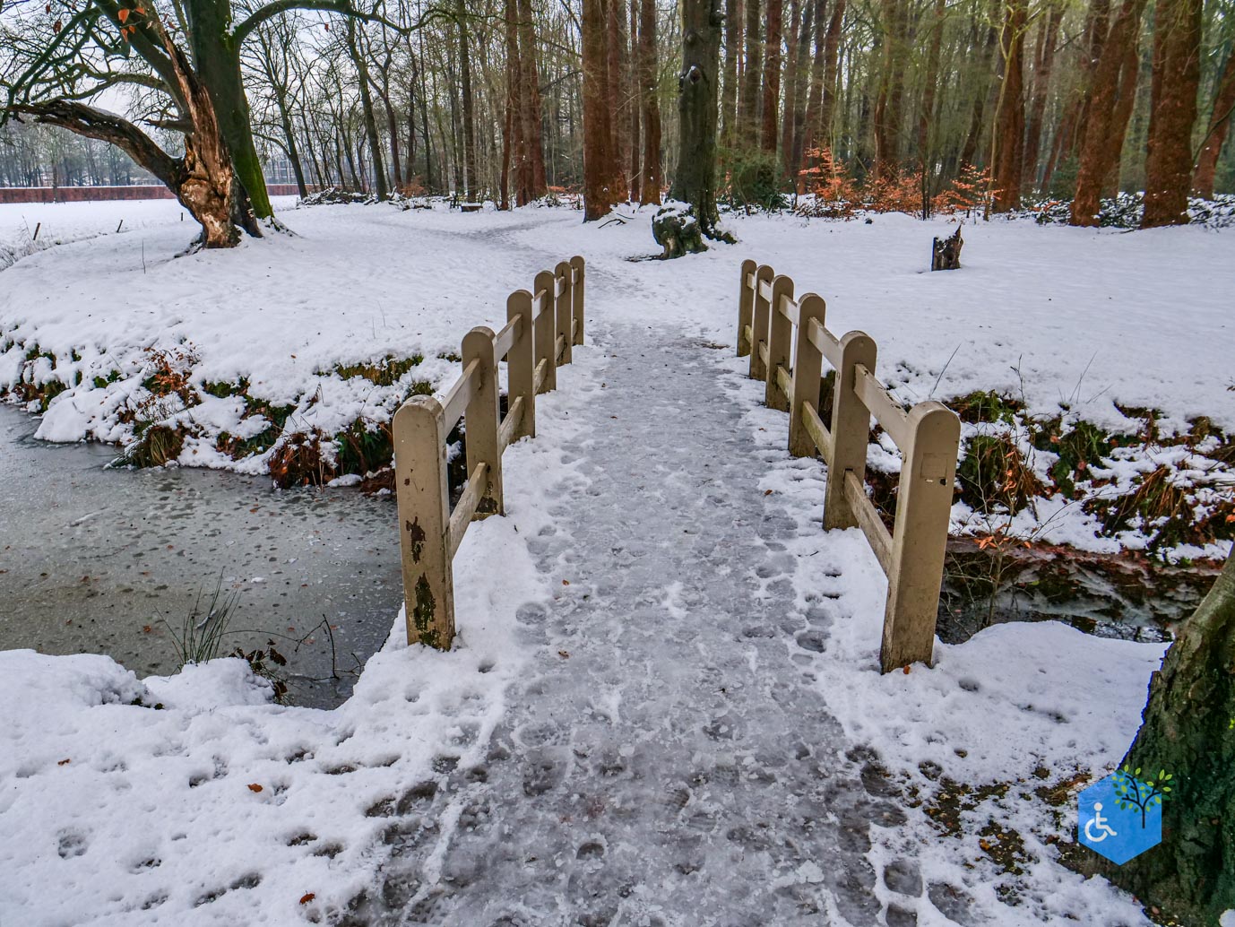 Baarn_Groeneveld_08-01-2025-85