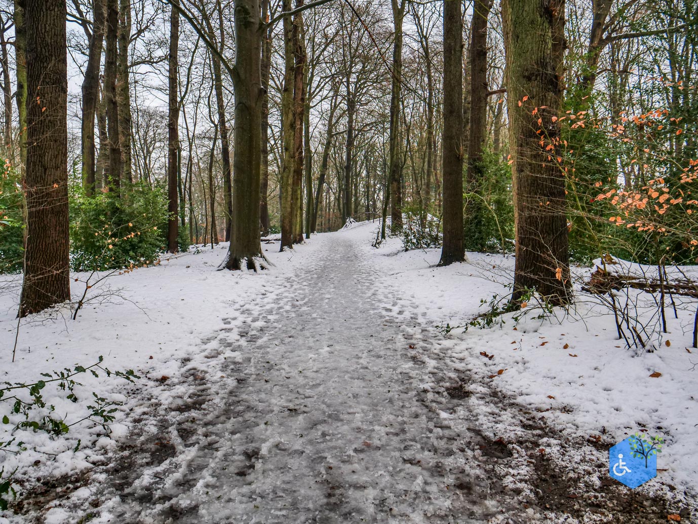 Baarn_Groeneveld_08-01-2025-89