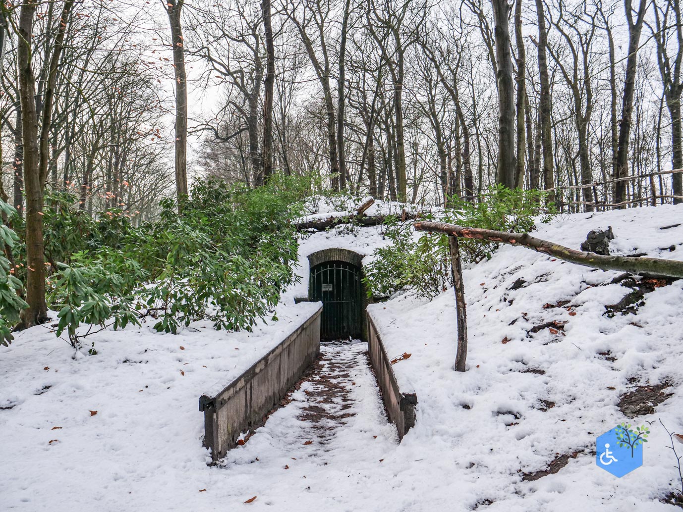 Baarn_Groeneveld_08-01-2025-91