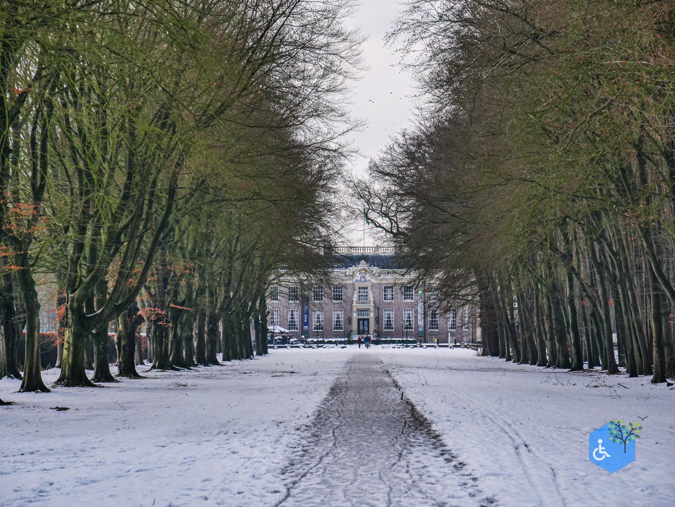 Baarn_Groeneveld_08-01-2025-96