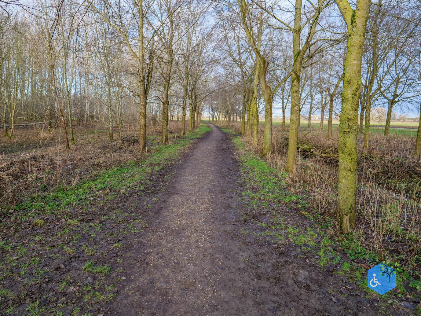 Houten_Avontuurlijk_Nieuw_Wulven_16-01-2026-04