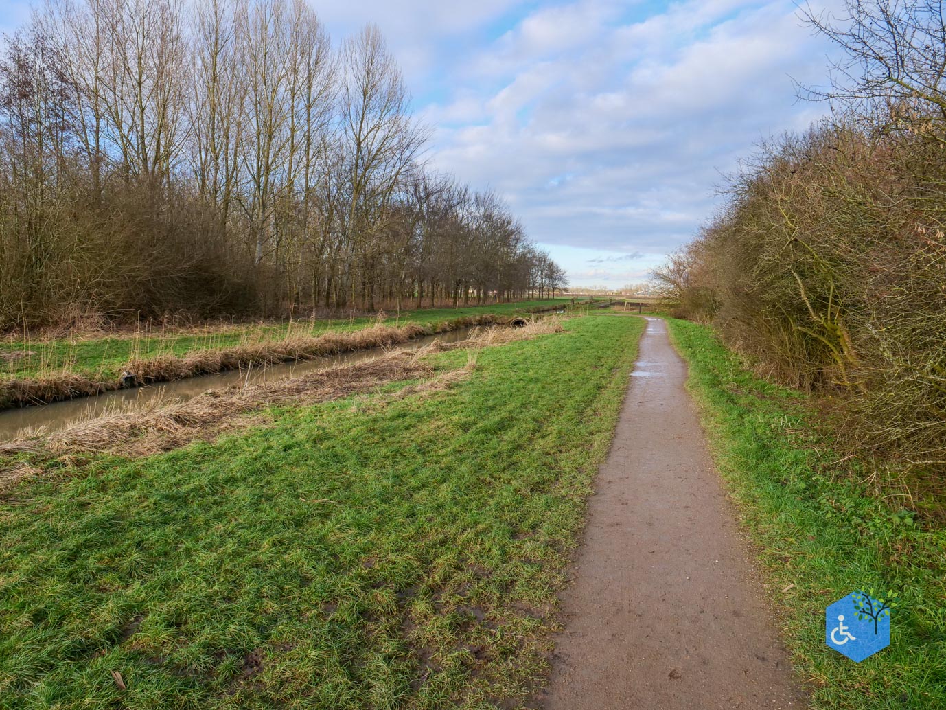 Houten_Rondje_Nieuw_Wulven_16-01-2026-05