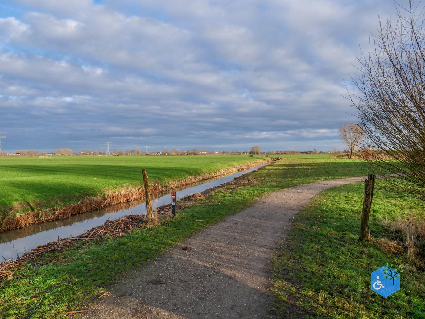 Houten_Rondje_Nieuw_Wulven_16-01-2026-10
