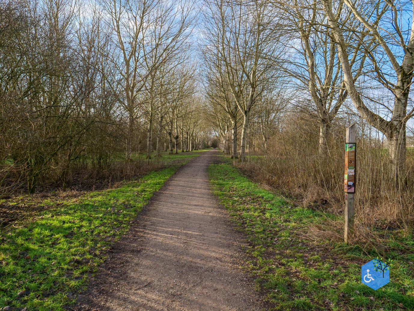 Houten_Rondje_Nieuw_Wulven_16-01-2026-11