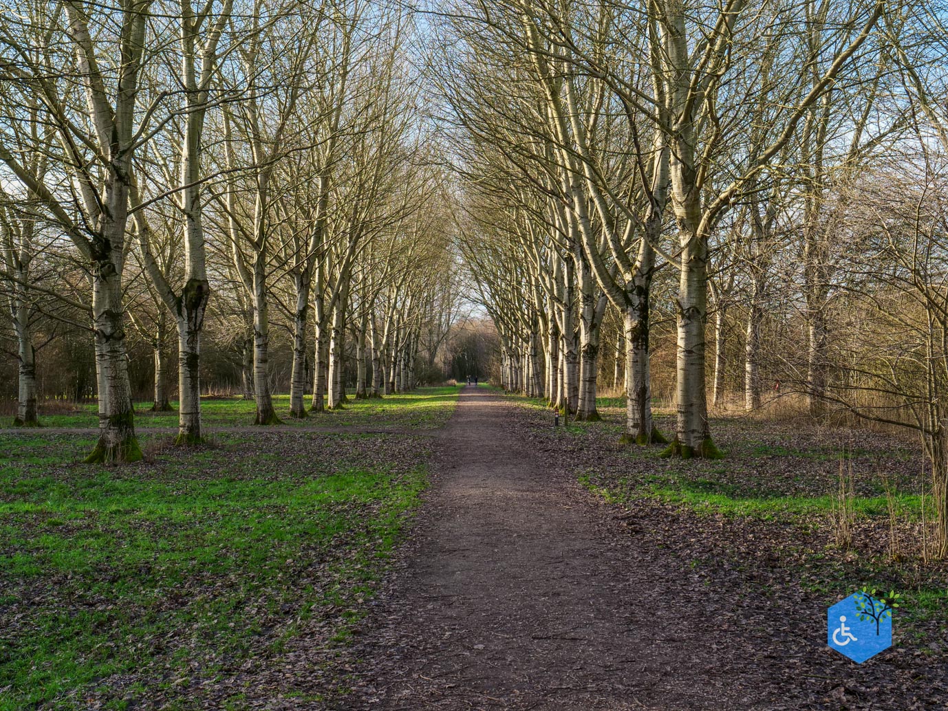Houten_Rondje_Nieuw_Wulven_16-01-2026-12