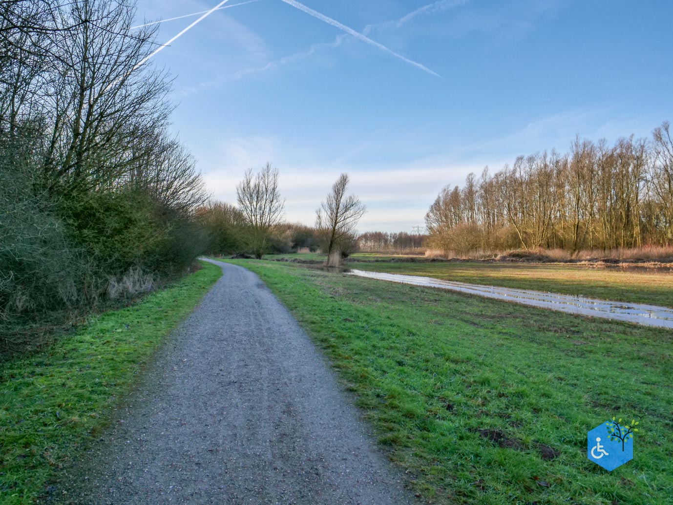 Houten_Rondje_Nieuw_Wulven_16-01-2026-17