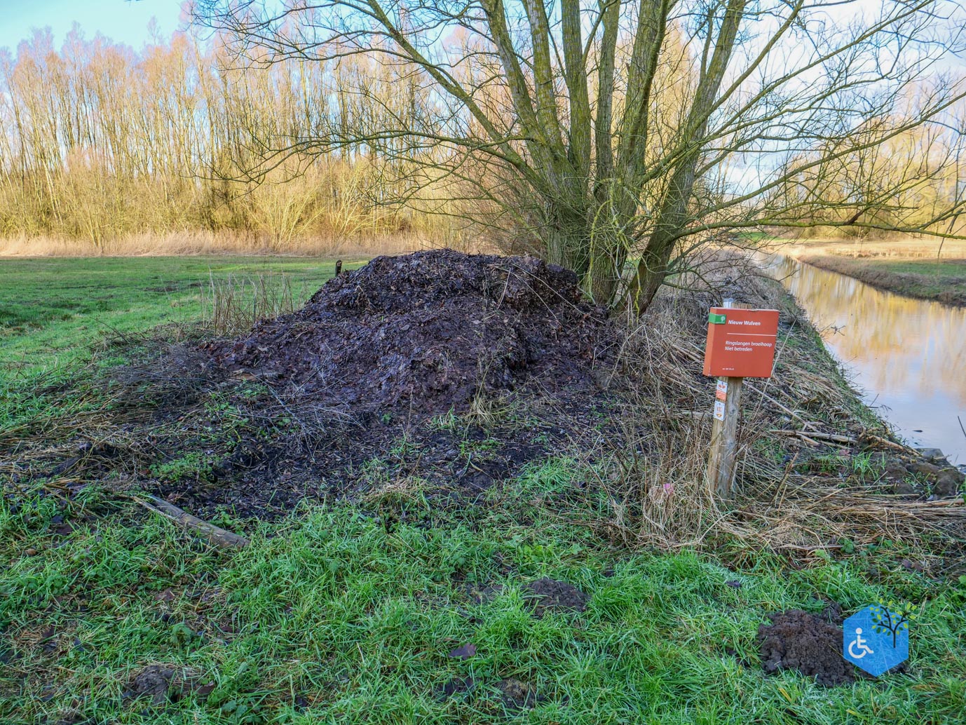 Houten_Rondje_Nieuw_Wulven_16-01-2026-18