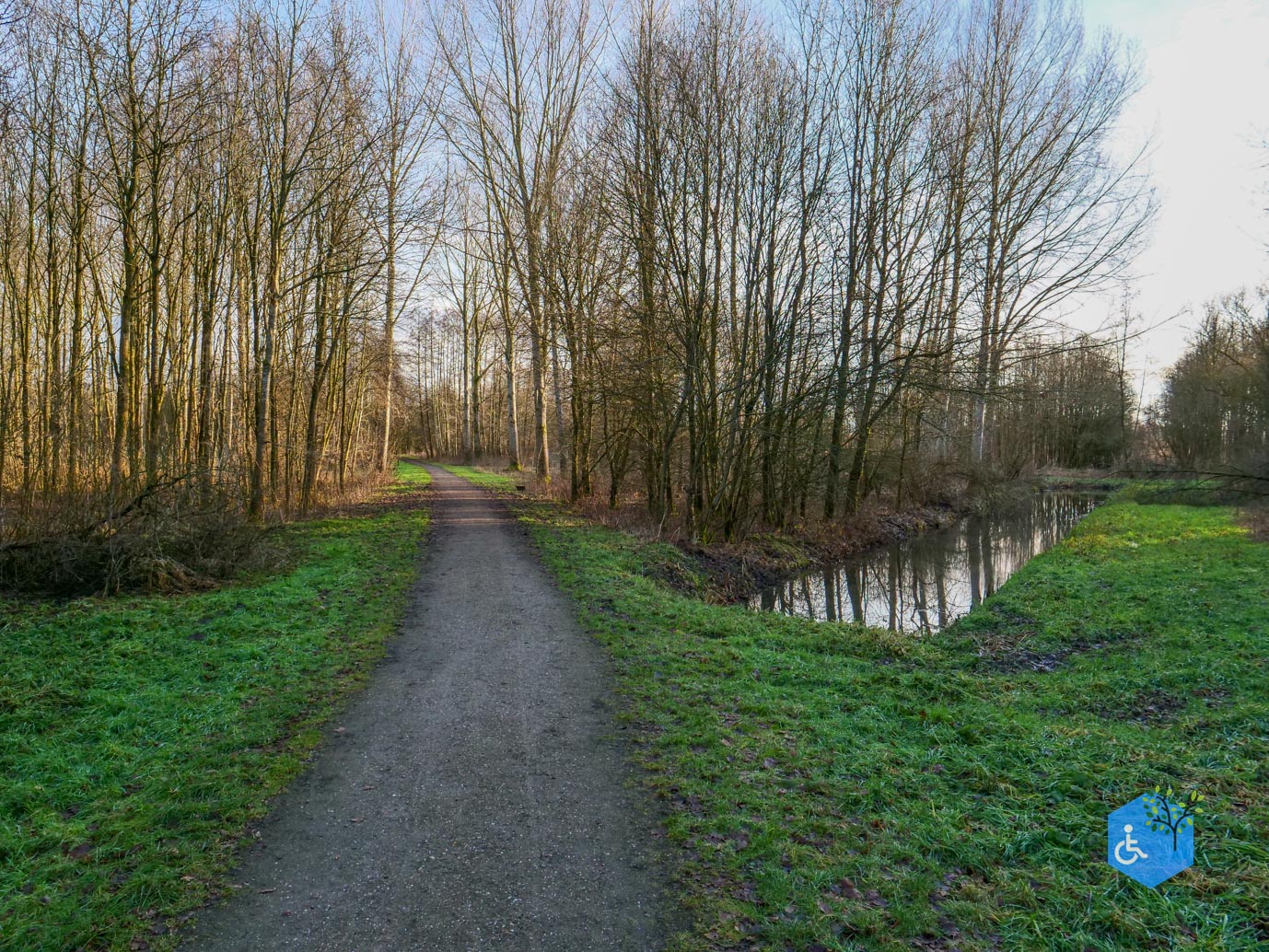 Houten_Rondje_Nieuw_Wulven_16-01-2026-20