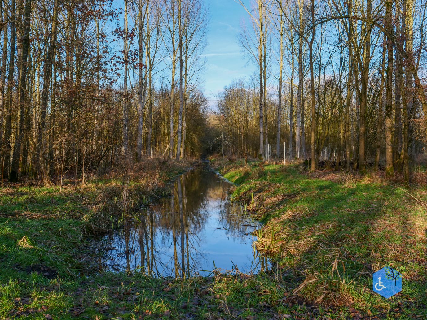 Houten_Rondje_Nieuw_Wulven_16-01-2026-21