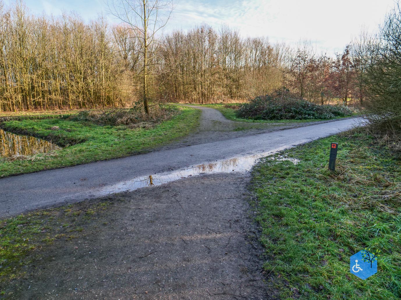Houten_Rondje_Nieuw_Wulven_16-01-2026-22