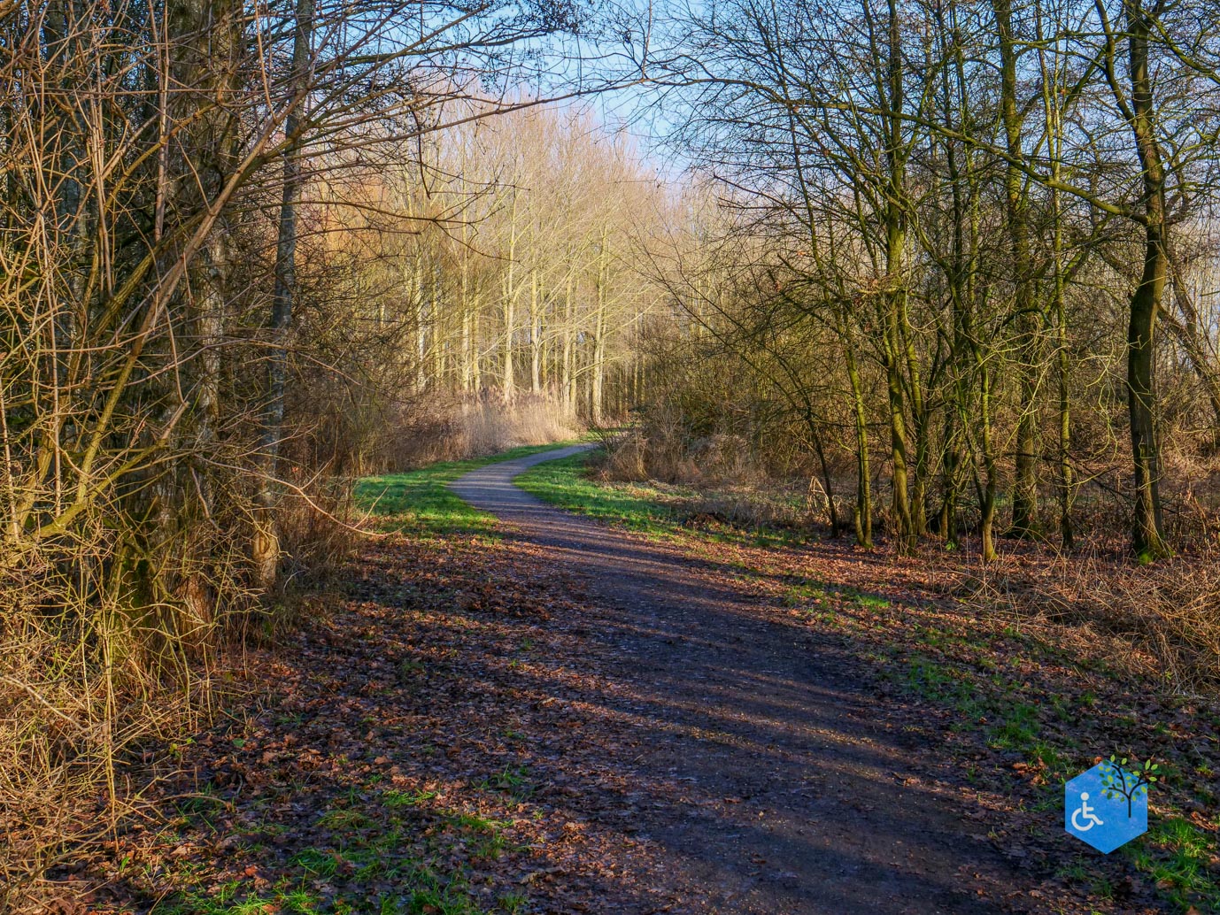 Houten_Rondje_Nieuw_Wulven_16-01-2026-23