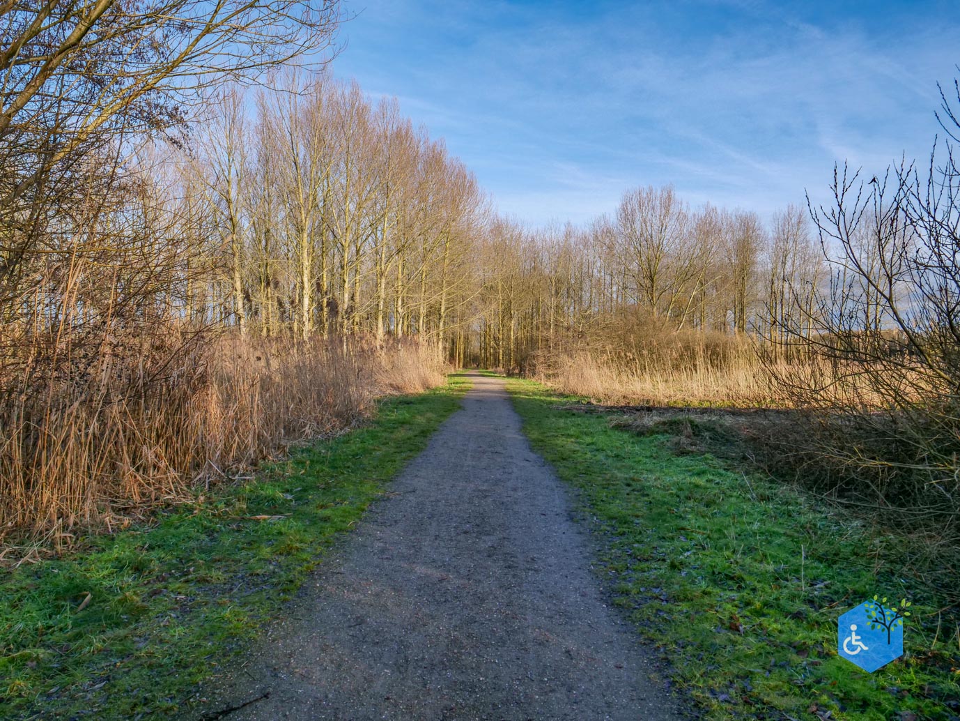 Houten_Rondje_Nieuw_Wulven_16-01-2026-24