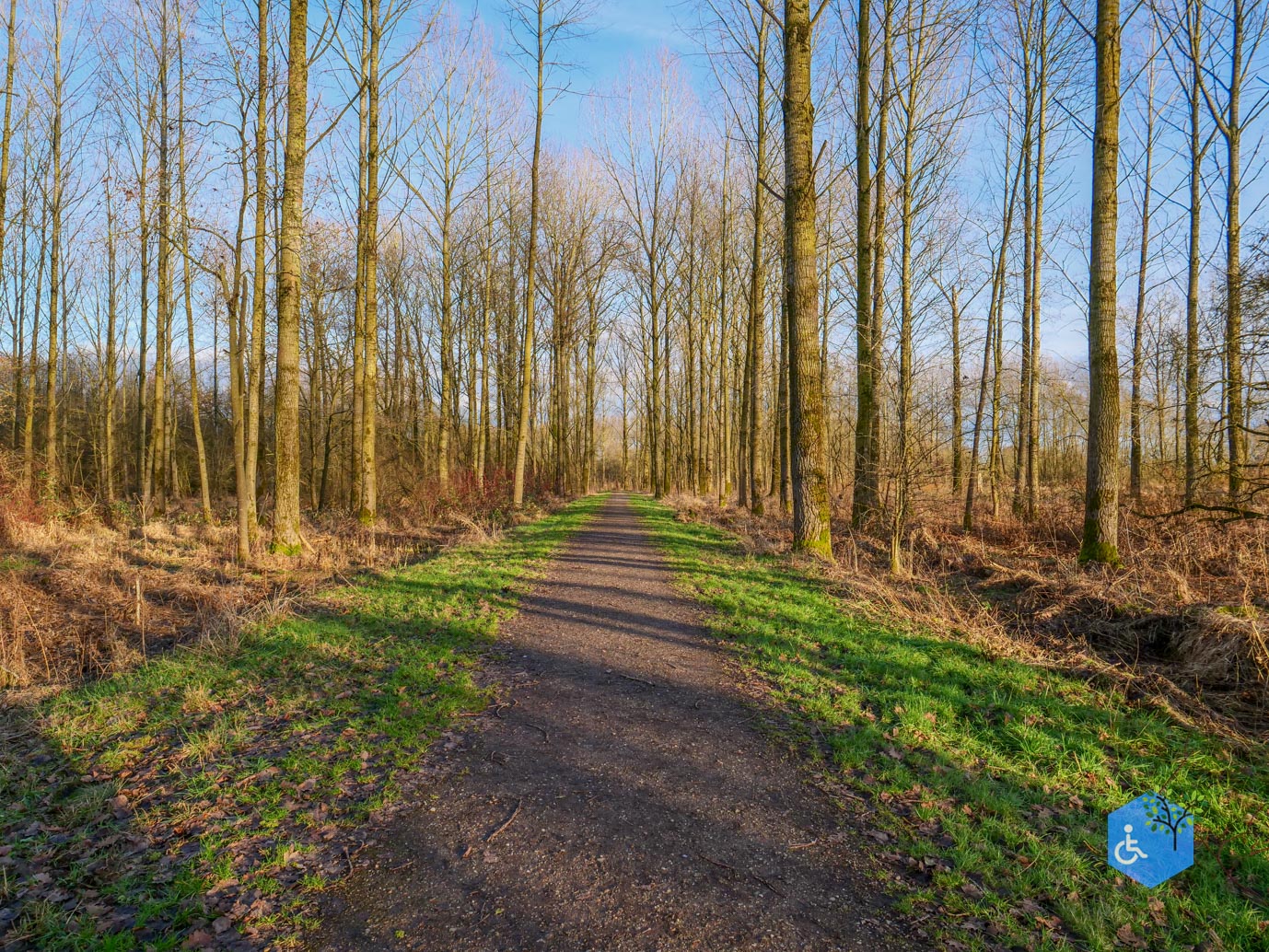 Houten_Rondje_Nieuw_Wulven_16-01-2026-25