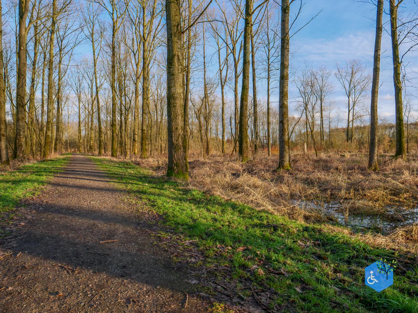 Houten_Rondje_Nieuw_Wulven_16-01-2026-26