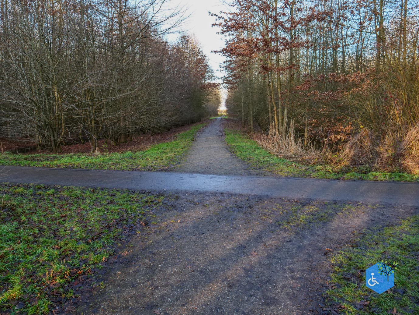 Houten_Rondje_Nieuw_Wulven_16-01-2026-27