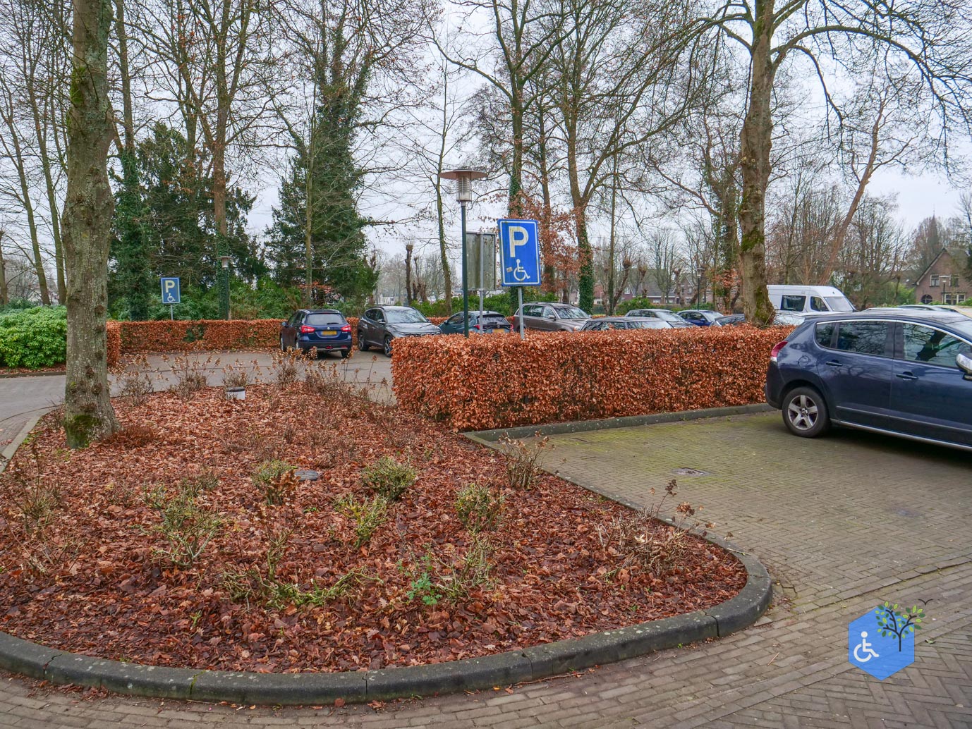 Vaassen_Kasteelpark_Cannenburch_17-12-2025-01