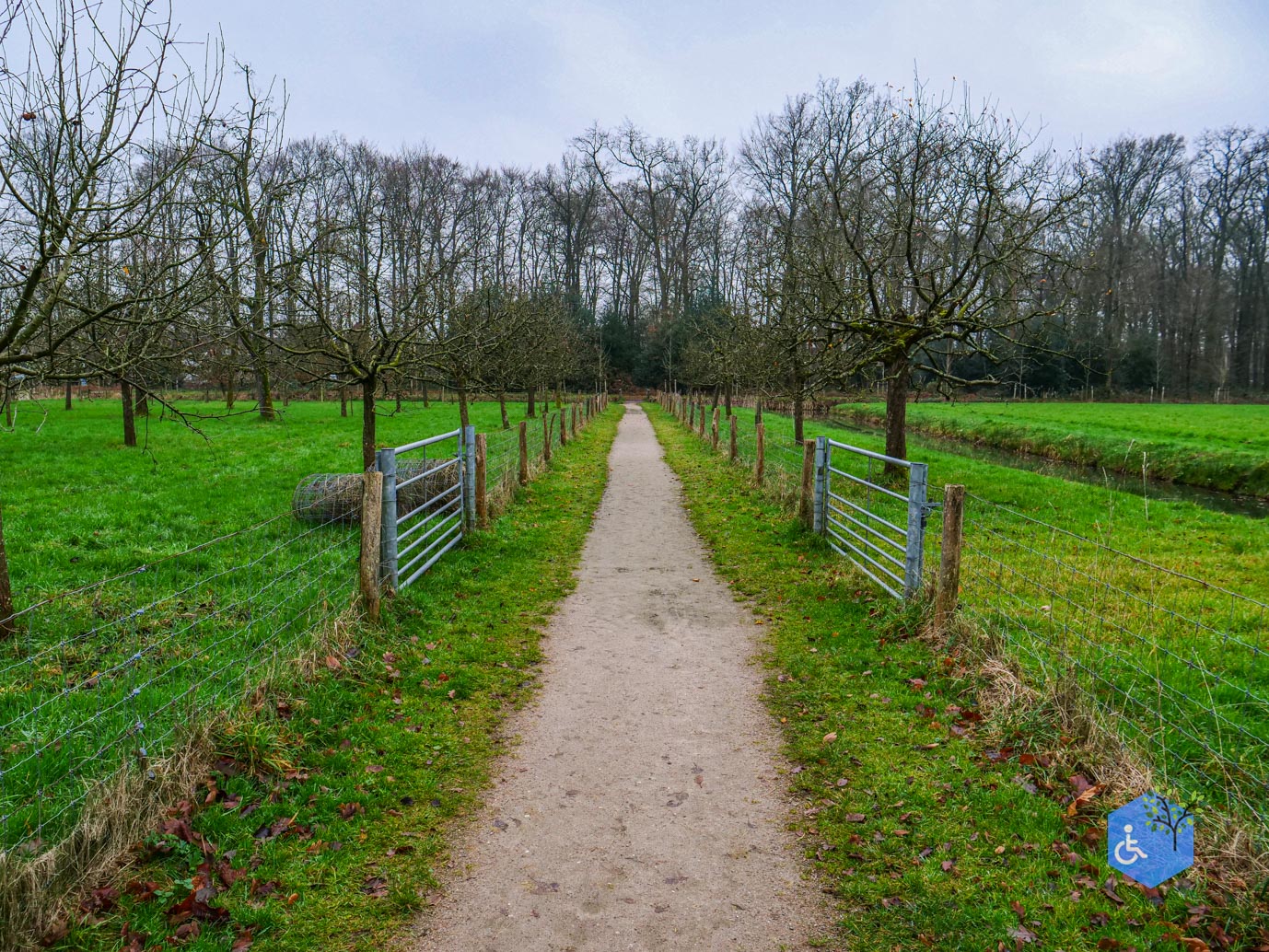 Vaassen_Kasteelpark_Cannenburch_17-12-2025-10