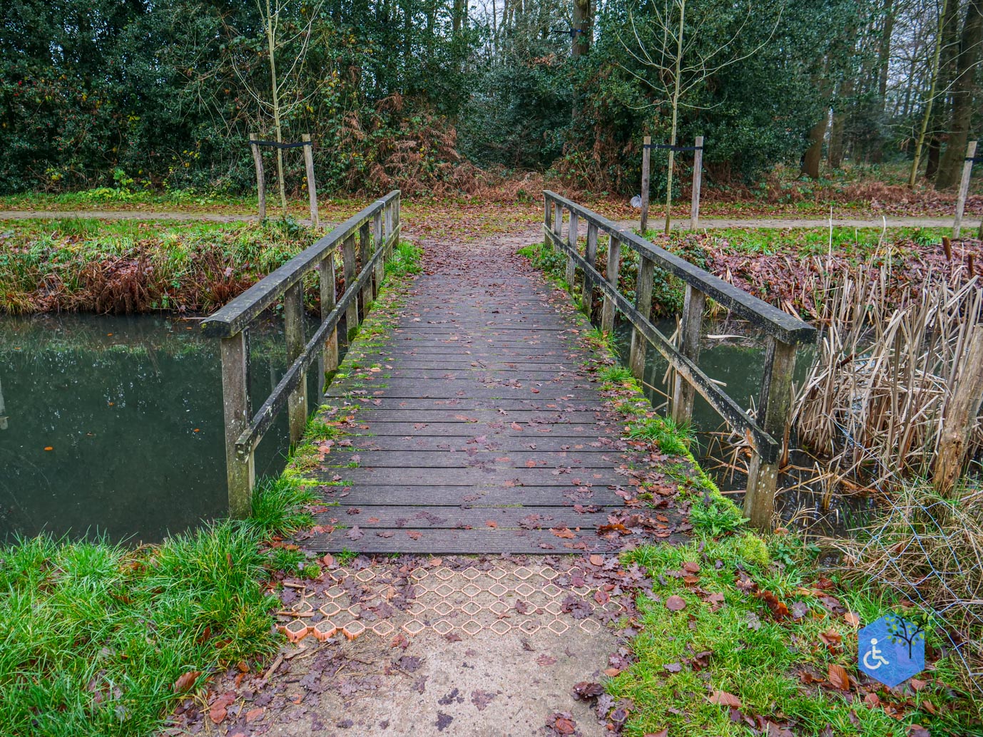 Vaassen_Kasteelpark_Cannenburch_17-12-2025-11