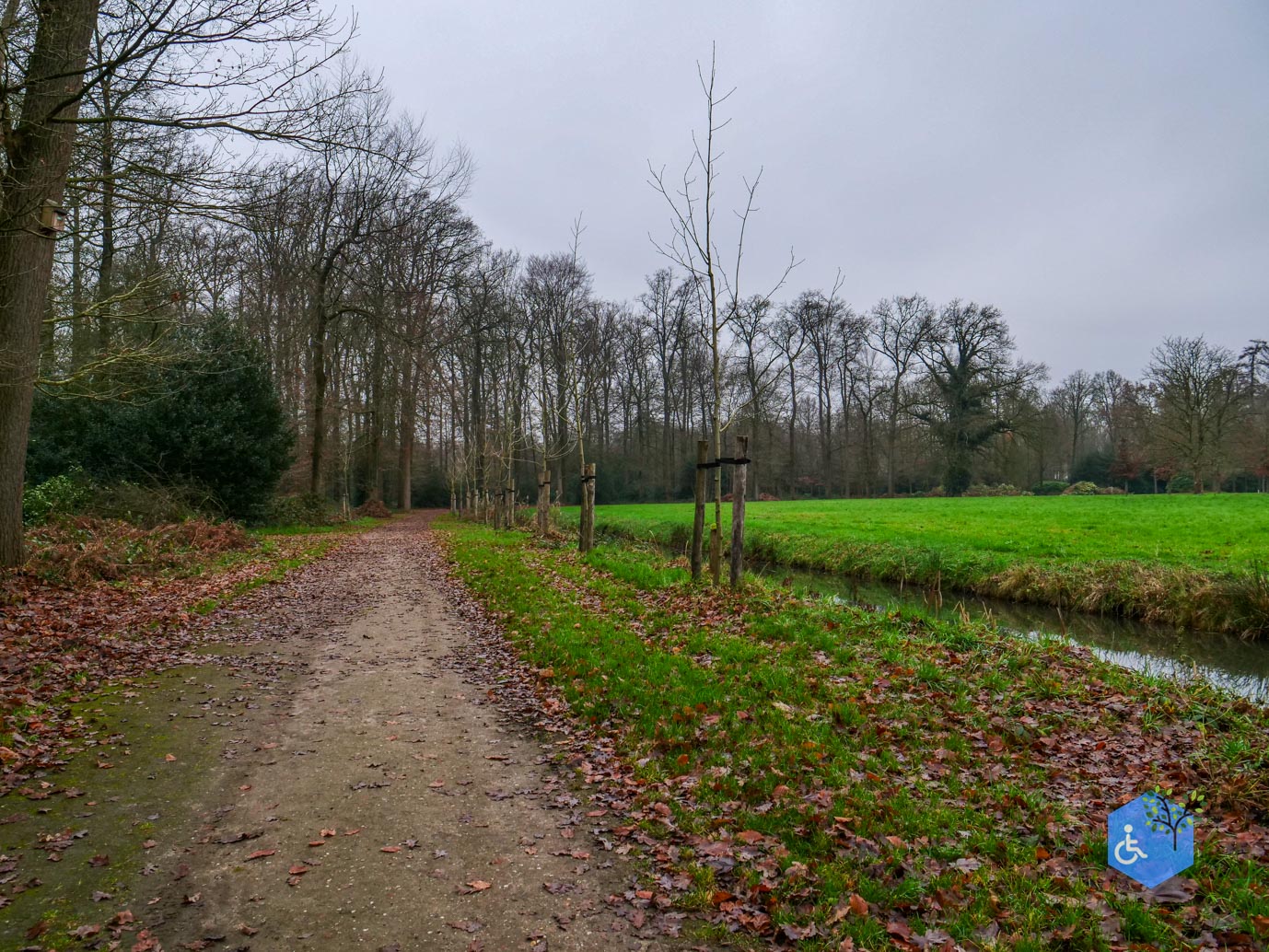 Vaassen_Kasteelpark_Cannenburch_17-12-2025-12