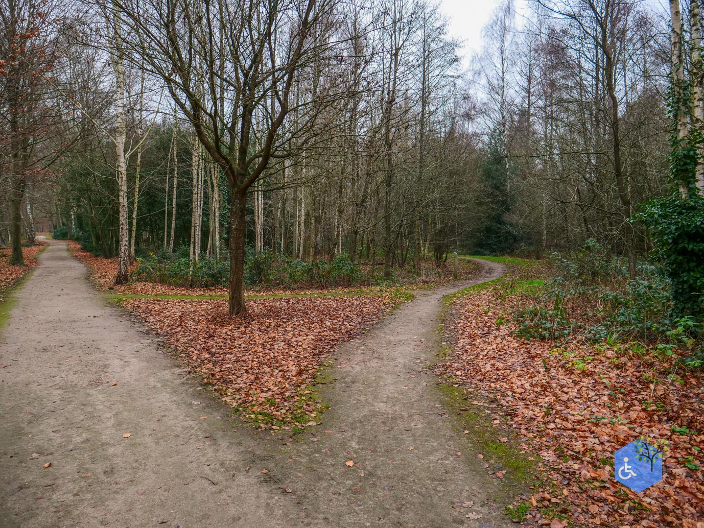 Vaassen_Kasteelpark_Cannenburch_17-12-2025-15