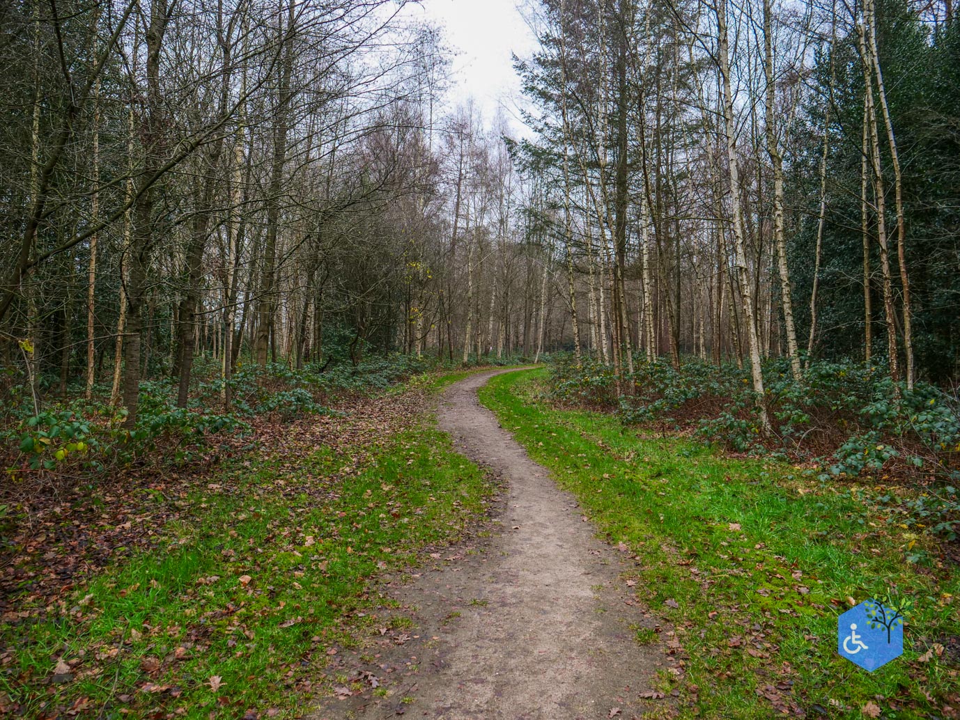 Vaassen_Kasteelpark_Cannenburch_17-12-2025-16