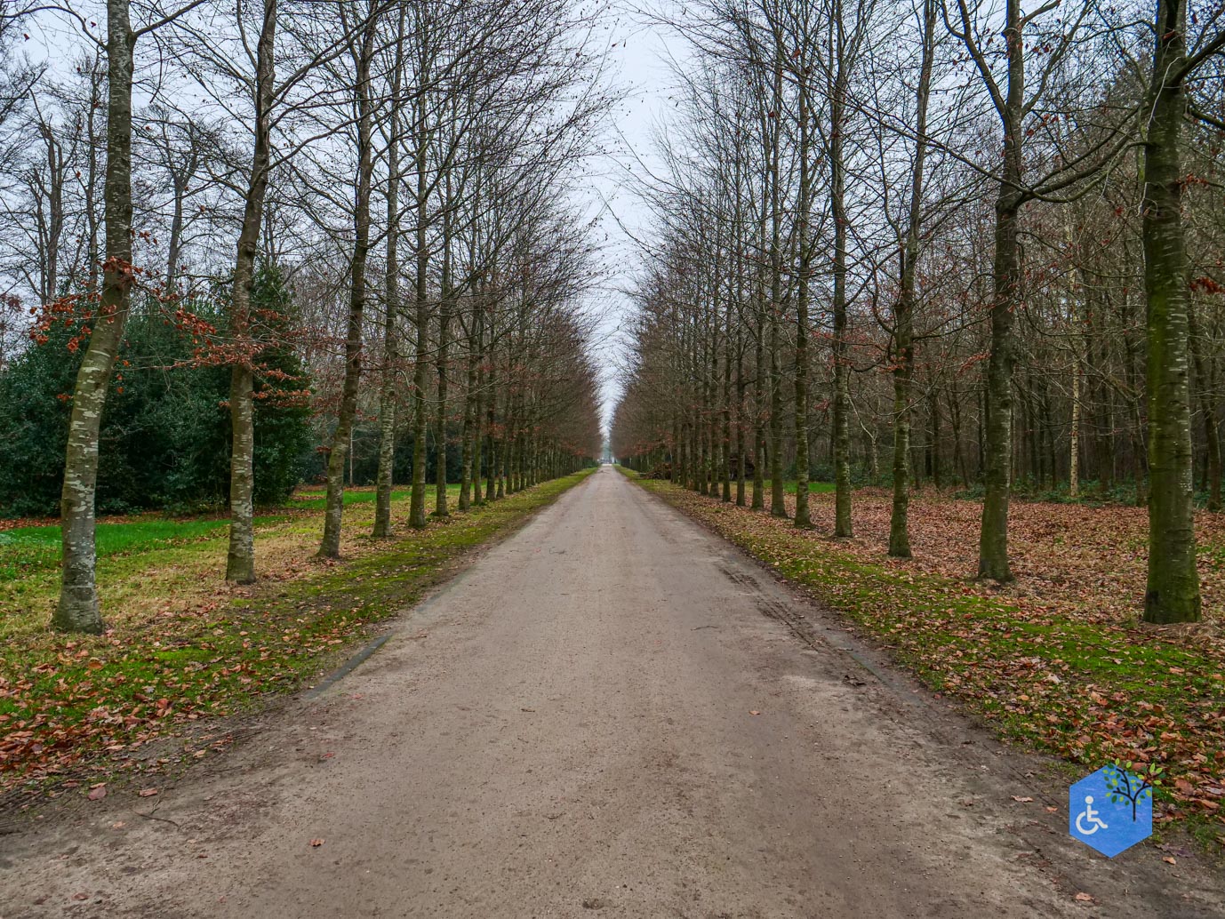 Vaassen_Kasteelpark_Cannenburch_17-12-2025-17